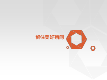 高中美术-摄影·摄像《第四课 艺术摄影创作》PPT课件2-人教版