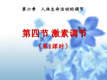 《第四节 激素调节》PPT课件2-北京版生物七年级下册