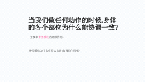 《第一节 神经系统的组成》PPT课件3-北京版生物七年级下册