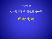《第一节 代谢废物》PPT课件1-北京版生物七年级下册