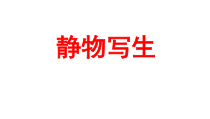 高中美术-绘画《第五课 简捷地捕捉物象的方法——线描写生》PPT课件7-人教版
