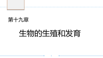 《第二节 动物的生殖和发育》PPT课件3-北京版生物八年级上册