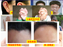 《第二节 生物的性状遗传》PPT课件4-北京版生物八年级上册