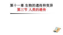 《第三节 人类的遗传》PPT课件5-北京版生物八年级上册