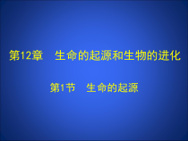 《第一节 生命的起源》PPT课件2-北京版生物八年级上册