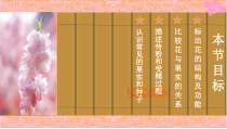 《1.开花和结果》PPT课件1-北京版生物八年级上册