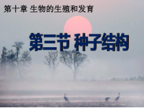《2.种子的结构》PPT课件2-北京版生物八年级上册