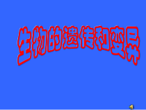 《第二节 生物的性状遗传》PPT课件3-北京版生物八年级上册