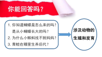 《第二节 动物的生殖和发育》PPT课件1-北京版生物八年级上册
