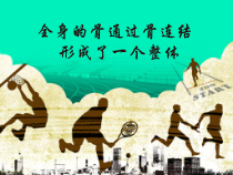 《3.关节》PPT课件1-北京版生物八年级上册