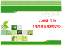 《第二节 动物的生殖和发育》PPT课件6-北京版生物八年级上册
