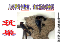 《第二节 动物的生殖和发育》PPT课件2-北京版生物八年级上册