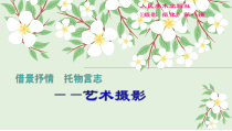 高中美术-摄影摄像《第八课 借物抒情 托物言志--艺术摄影》PPT课件1-人美版