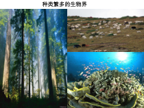 《第二节 生物的进化》PPT课件3-北京版生物八年级上册