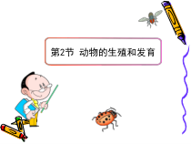 《第二节 动物的生殖和发育》PPT课件5-北京版生物八年级上册