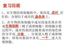《第三节 人类的遗传》PPT课件3-北京版生物八年级上册