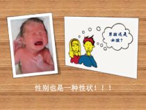 《第三节 人类的遗传》PPT课件6-北京版生物八年级上册