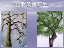 高中美术-绘画《第六课 水色交融 酣畅淋漓--水彩画》PPT课件5-人美版