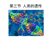 《第三节 人类的遗传》PPT课件4-北京版生物八年级上册
