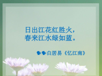 高中美术-绘画《第五课 五光十色 绚丽多彩--绘画的色彩》PPT课件1-人美版