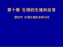 《第四节 生物生殖的多种方式》PPT课件1-北京版生物八年级上册