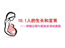 《第一节 人的生殖和发育》PPT课件1-北京版生物八年级上册