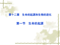 《第一节 生命的起源》PPT课件3-北京版生物八年级上册