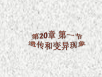 《第一节 生物的性状表现》PPT课件1-北京版生物八年级上册