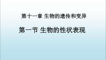 《第一节 生物的性状表现》PPT课件2-北京版生物八年级上册