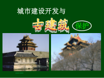 高中美术-美术鉴赏《第二十课 关注当今城市建设--城市建设开发与古建筑的保护》PPT课件1-人美版