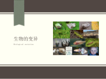 《第四节 生物的变异》PPT课件1-北京版生物八年级上册