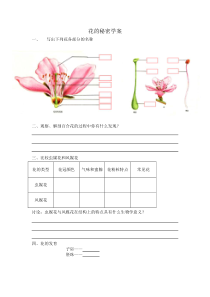 《1.开花和结果-花的秘密》学案-北京版生物八年级上册