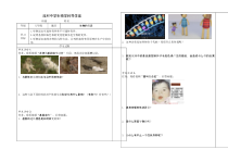 《第四节 生物的变异》导学案-北京版生物八年级上册