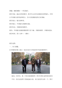 高中美术-摄影摄像《第二课 成功把握瞬间》教学设计4-湘美版