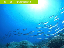 高中美术-美术鉴赏《第一课 变幻的自然万象》PPT课件2-湘美版
