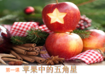 高中美术-设计《第一课 苹果中的五角星》PPT课件2-湘美版