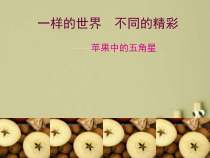 高中美术-设计《第一课 苹果中的五角星》PPT课件1-湘美版