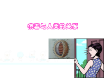 北京版生物八年级下册（课件8份可预览）