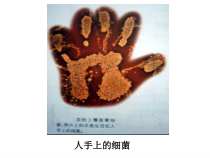 《第二节 免疫》PPT课件1-北京版生物八年级下册