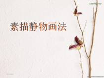 高中美术-绘画《第一节 素描--用单色去画》PPT课件7-粤教版