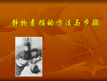 高中美术-绘画《第一节 素描--用单色去画》PPT课件8-粤教版