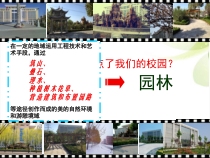 高中美术-美术鉴赏《第二节 宛自天开》PPT课件3-粤教版