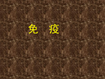 《第二节 免疫》PPT课件3-北京版生物八年级下册