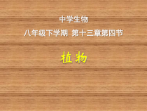 《3、裸子植物》PPT课件3-北京版生物八年级下册