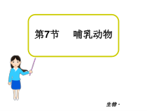 《6、哺乳动物》PPT课件1-北京版生物八年级下册