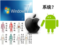 《第三节 生态系统》PPT课件3-北京版生物八年级下册