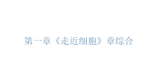高中生物必修一第1章《本章综合与测试》ppt课件-统编人教版