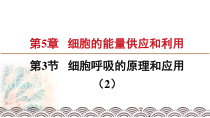 高中必修一生物《第3节 细胞呼吸的原理和应用》ppt课件3-统编人教版