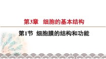 高中必修一生物《第5节 核酸是遗传信息的携带者》ppt课件3-统编人教版