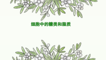 高中必修一生物《第3节 细胞中的糖类和脂质》ppt课件3-统编人教版